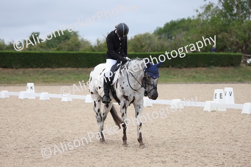 20250705-0476 - Class 5 - Novice 2