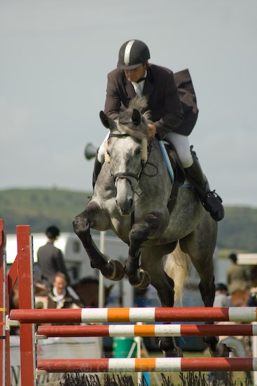 8 - Equestrian Photography