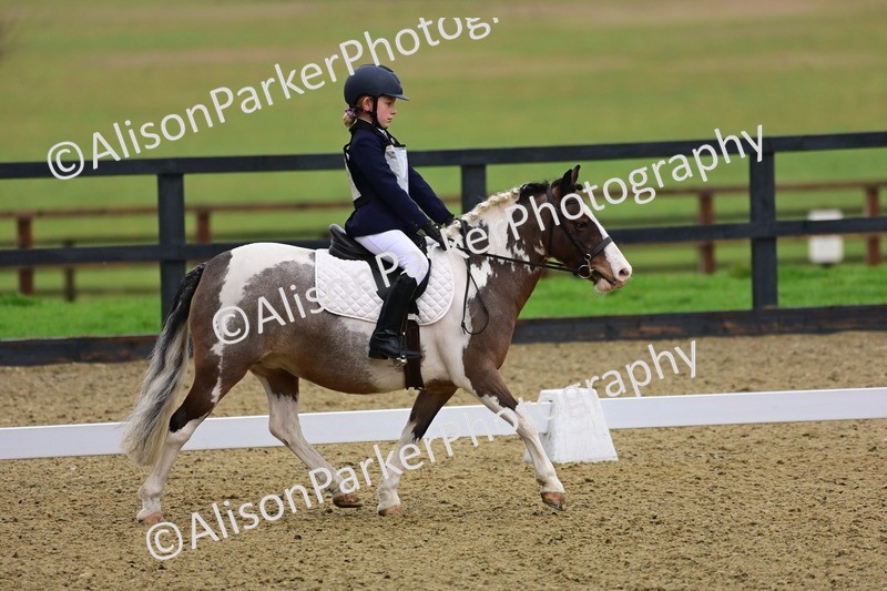 20260125-0635 - Class 9b - Walk Trot Unassisted