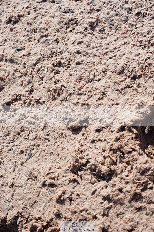 250427-094436-15376 - Cls 16 - 1 Star Bronze Tour