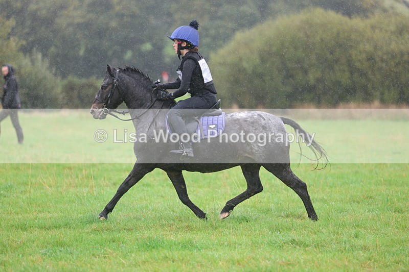 3E7A1054 - Class 1: 65cm: Rails