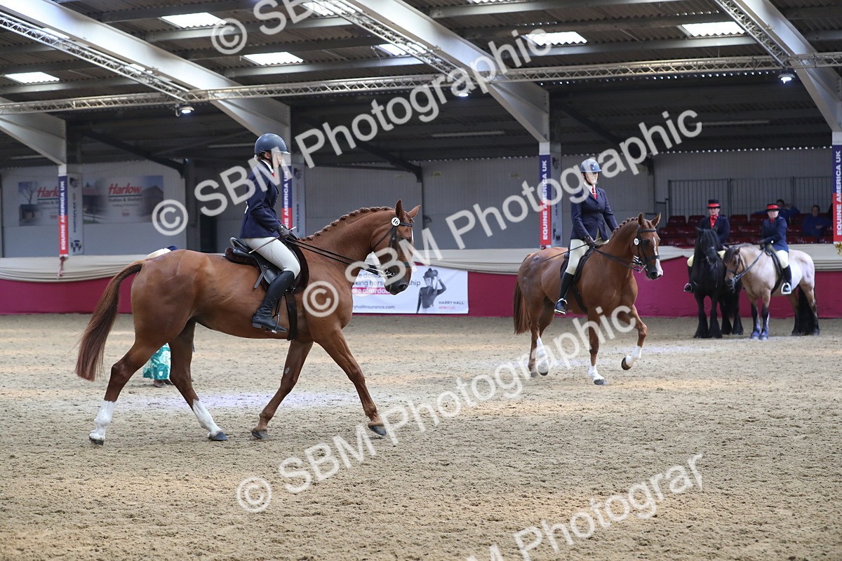 SBM_13012 - Class 109 Ridden Pairs- Section A