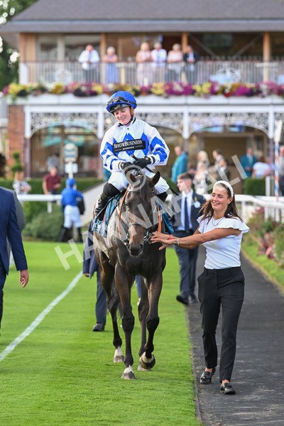 260724-Race 4-Dicko The Legend-5278 - Race 4 7.15pm Tomahawk Restaurants Handicap