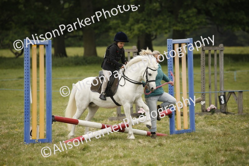 20250517-0285 - Class 1 - 30cm On Lead Rein