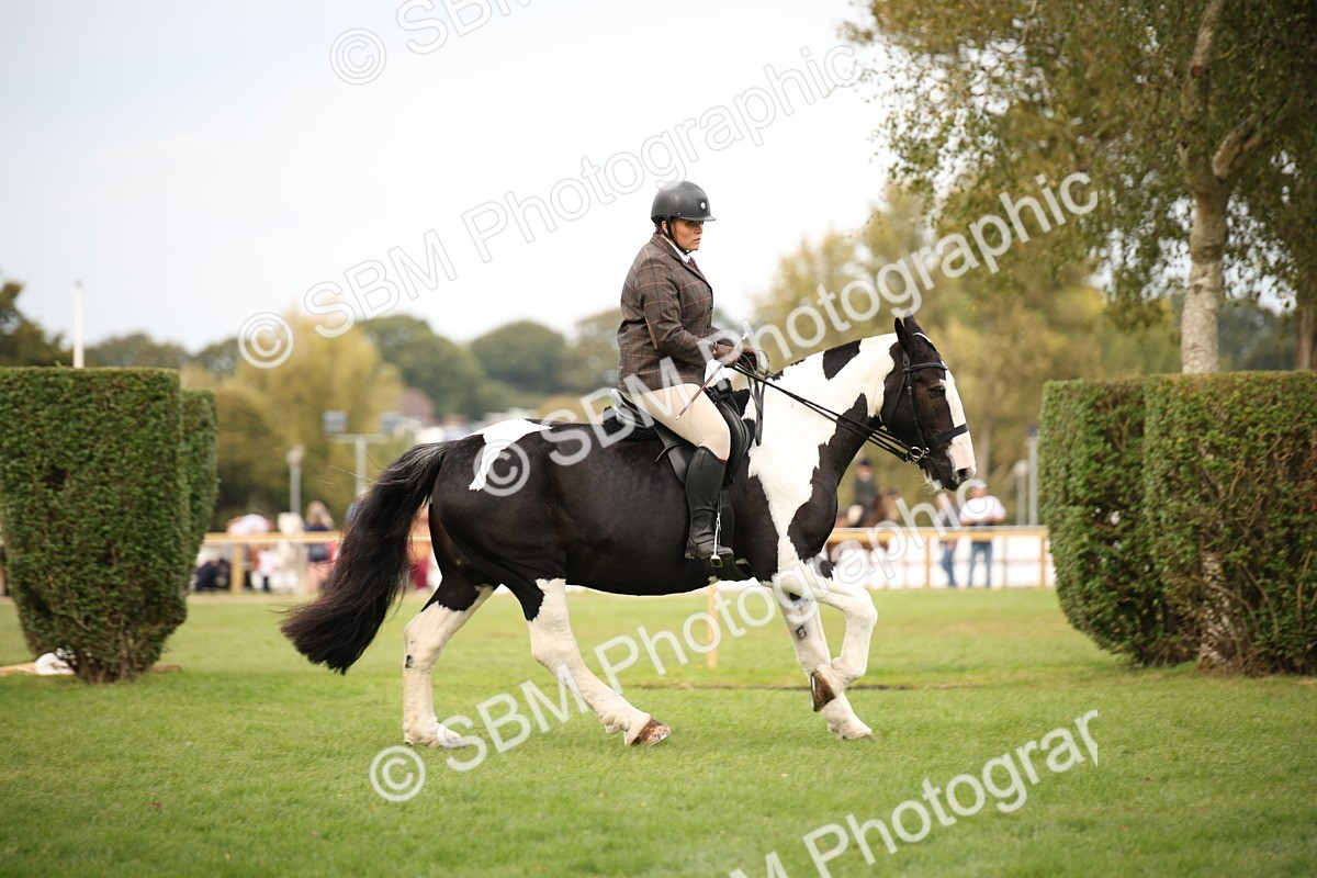 SBM_72376 - S67 - Show Cob Ridden