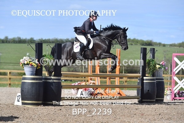 BPP_2239 - CLASS 22 SUN Senior BritiNovice/ 90cm Open