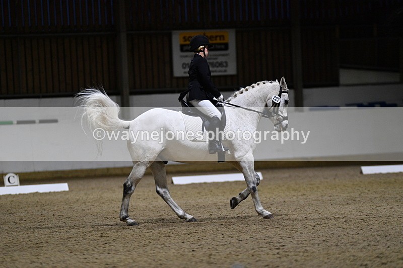 WJ5_8801 - Class 5 Novice Test 3