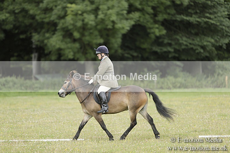 BVR160717-590 - Class 1 & 23a Dressage 16/07/17