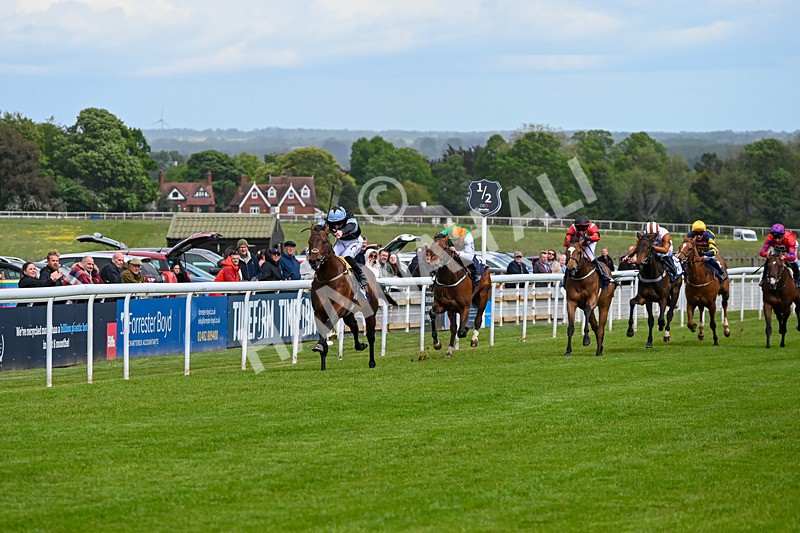 120526-Race 2-Ronson-7504 - Race 2 3.00pm Ire-Incentive, It Pays To Buy Irish