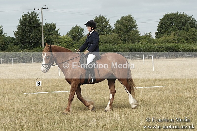 _PJP5611 - Dressage Classes BVRC Show 2018