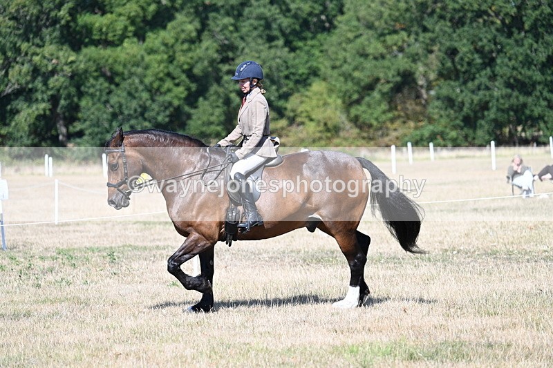 WJ7_3919 - Class 9 Mountain & Moorland Ridden