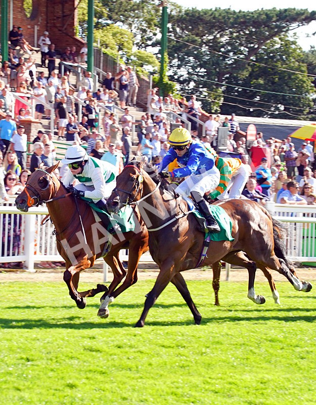 240726-Race 7-Sunlit Sea-01961 - Race 7 17.27pm Racing Excellence Apprentice Handicap
