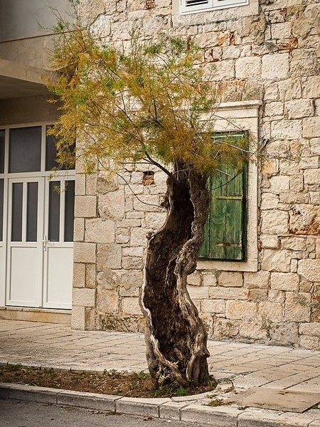 Croatia-21 - Croatia coast and islands