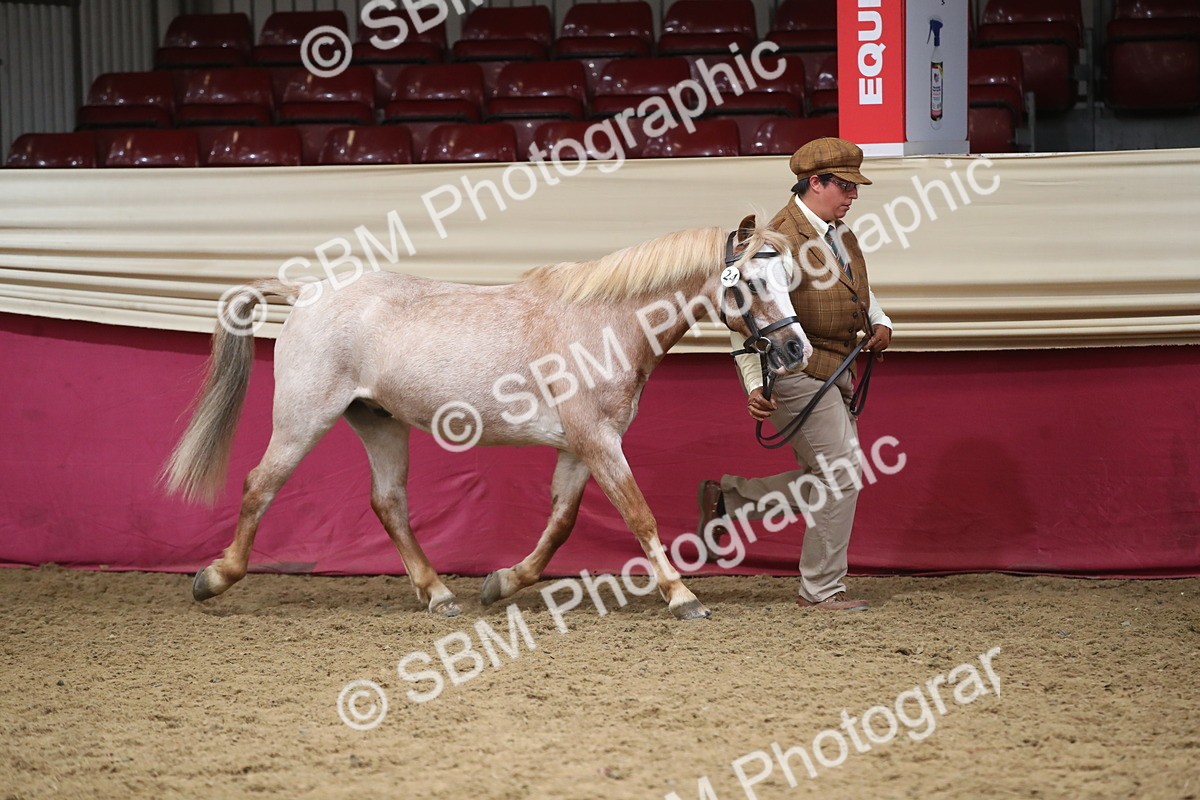 SBM_05258 - Class 8R - Regional IH Veteran