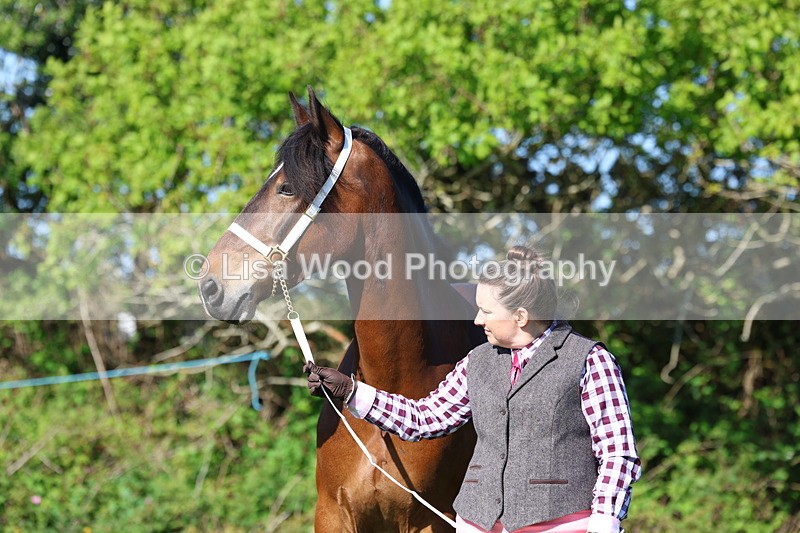 3E7A8644 - Class 13: M & M Large Breeds