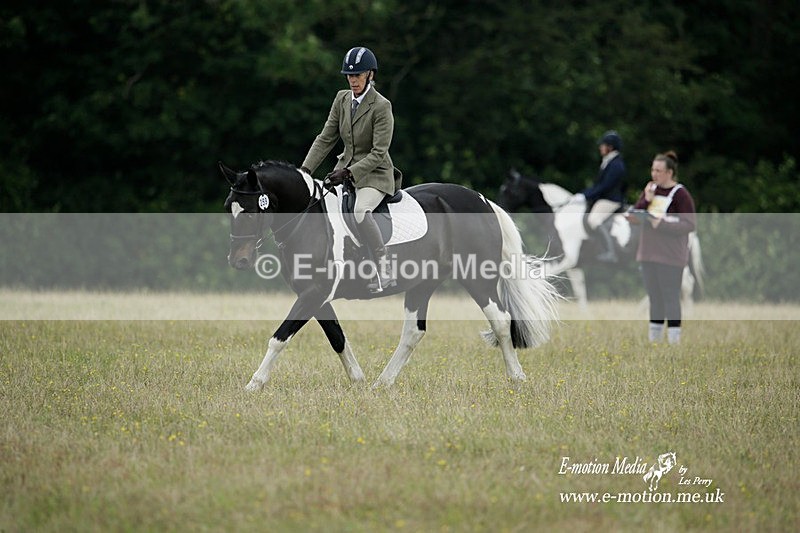 BVRC 030721 374 - Bourne Valley Riding Club Dressage 03/07/21