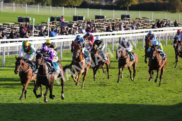 yr07102022r6-19 - Race 6 5.00pm William Hill Lengthen Your Odds EBF Novice Stakes