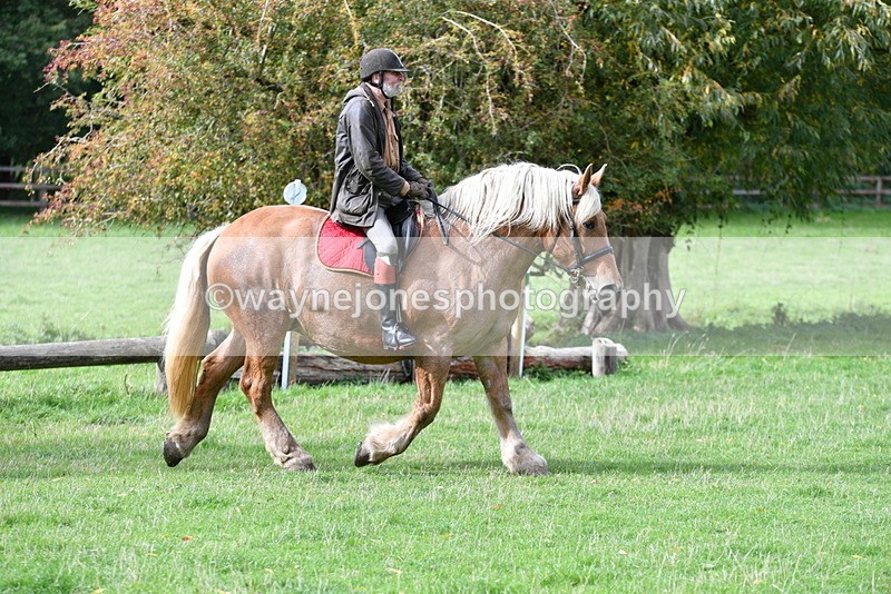 WJ5_9343 - Time 13:03 to 13:25