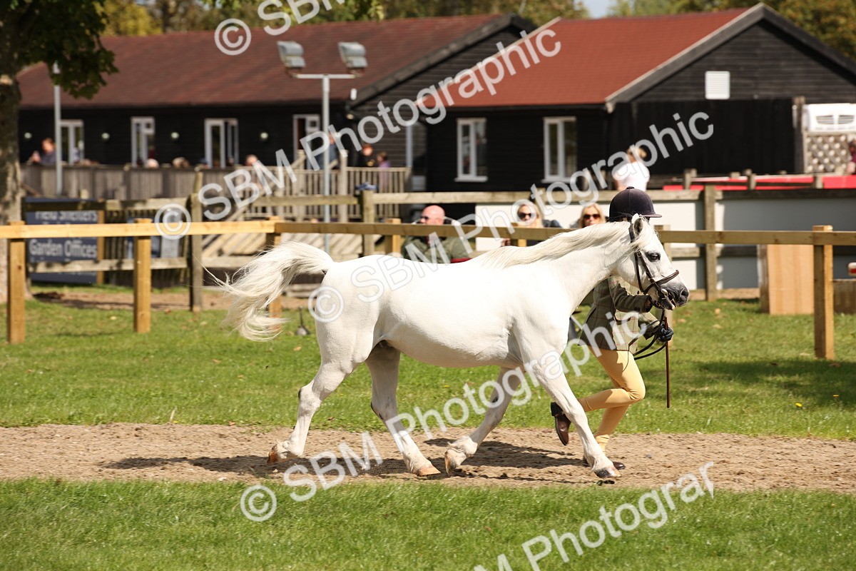 SBM_44405 - S24 - Young Veteran in hand