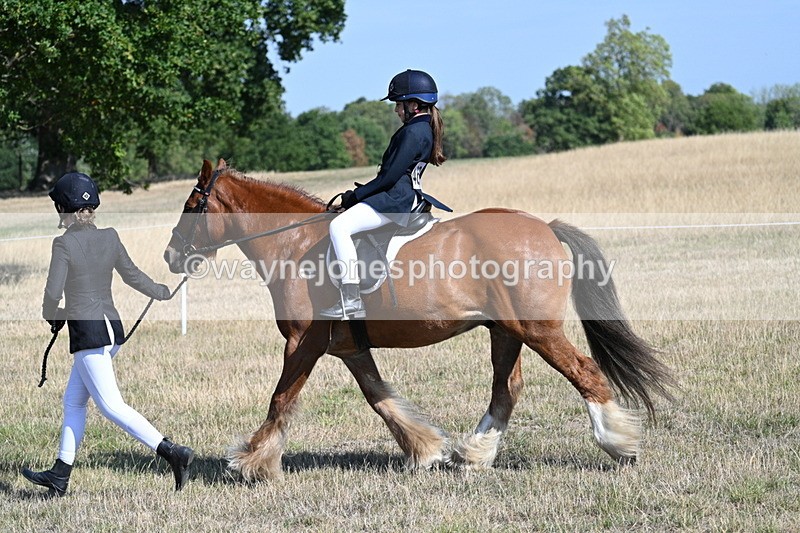 WJ7_3019 - Class 8 Ridden Tack & Turnout