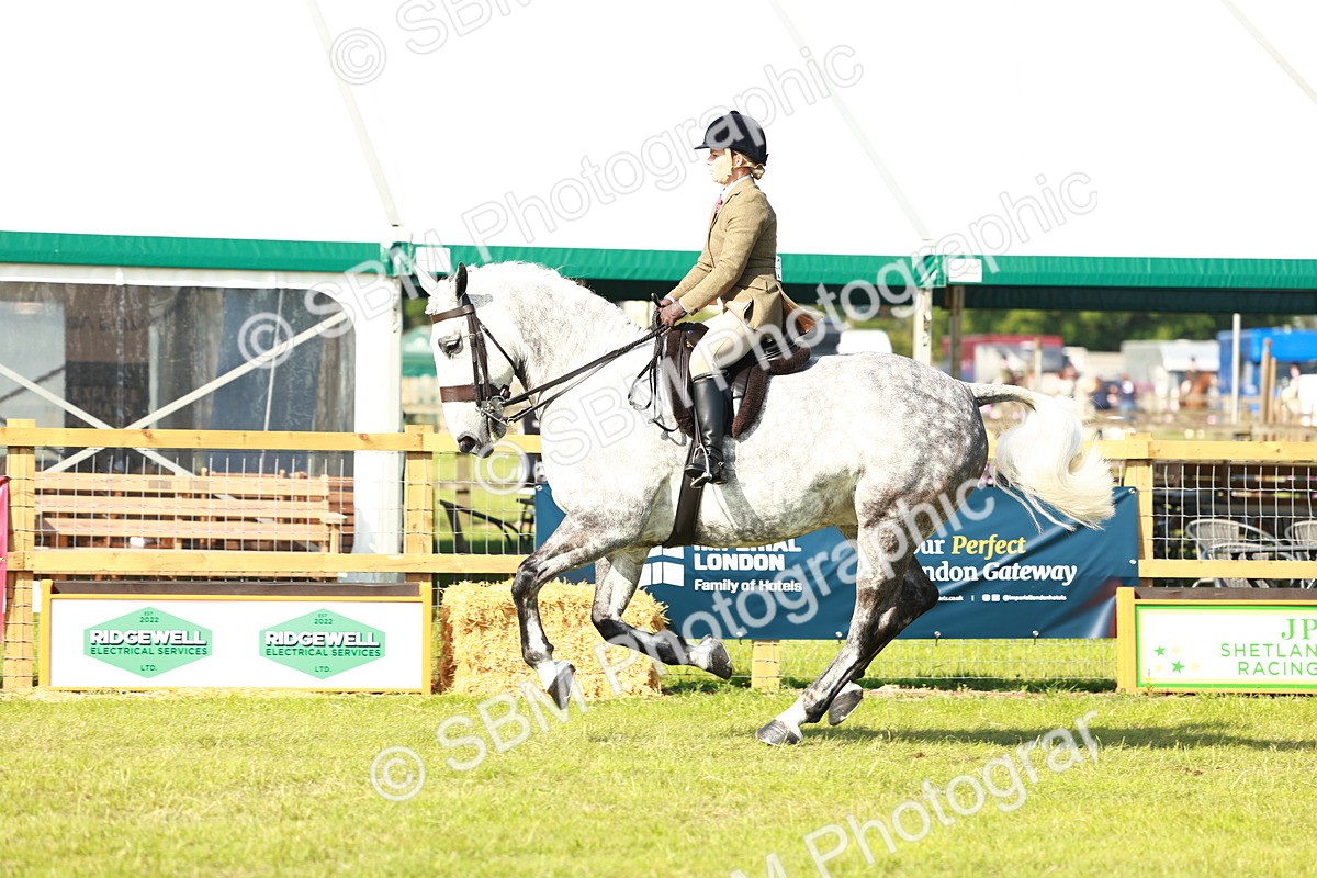 SBM_11785 - Class 66-69 - RIHS Ridden Hunters Inc Small Hunter