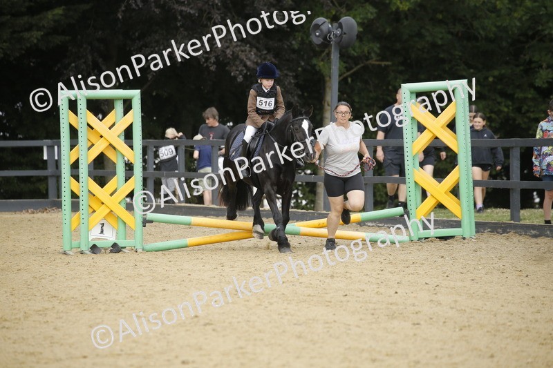 20250622-1331 - 40cm