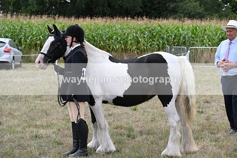 WJ6_5706 - Class 18 In-hand Coloured