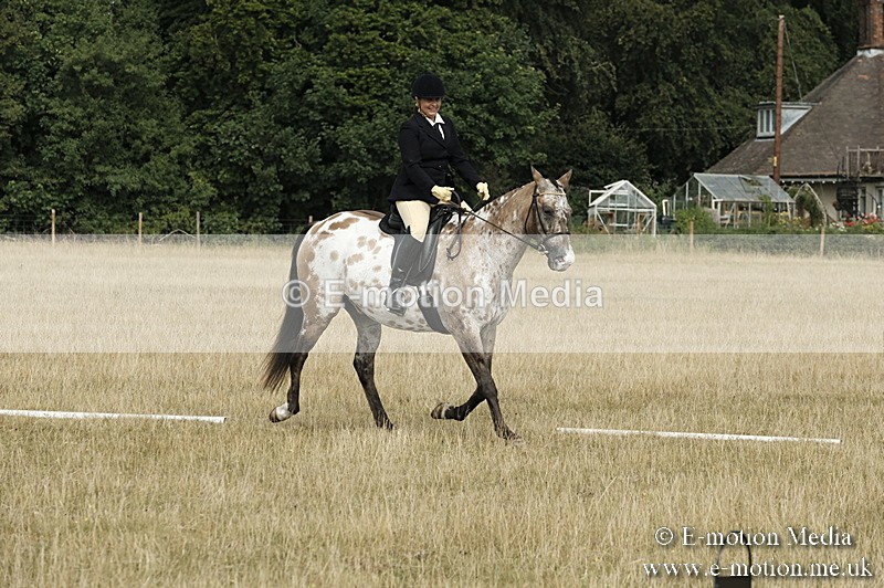 _PJP5703 - Dressage Classes BVRC Show 2018