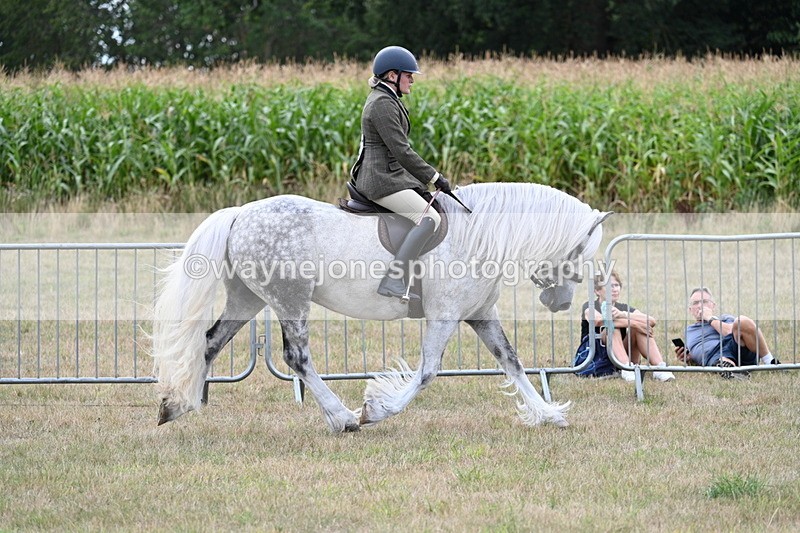 WJ7_5274 - Class 12 Ridden Cob
