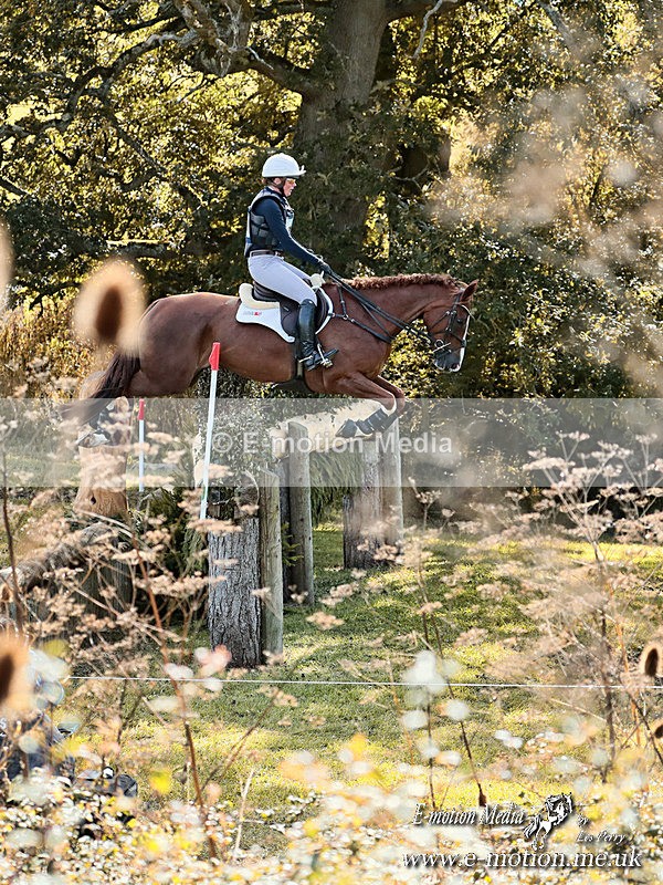 BECorn 140924 388ab - Equestrian
