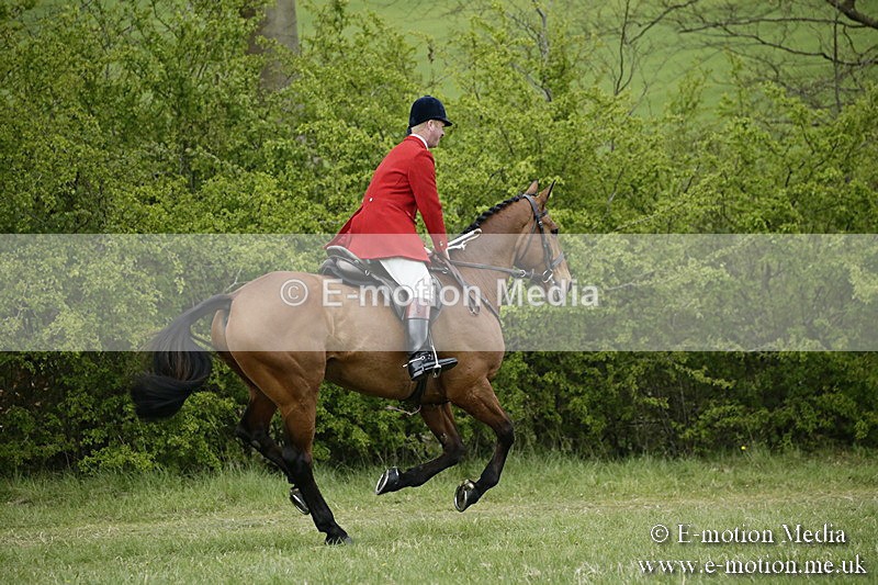 PtP 170417 547 - Old Berks Point-to-Point Lockinge 17/04/17