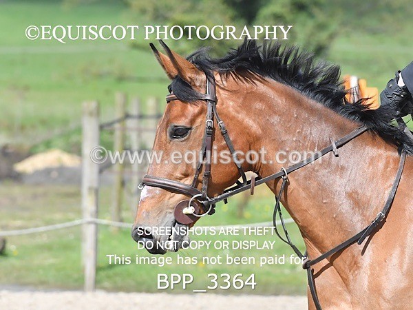 BPP_3364 - CLASS 5 Senior 1.05m Open