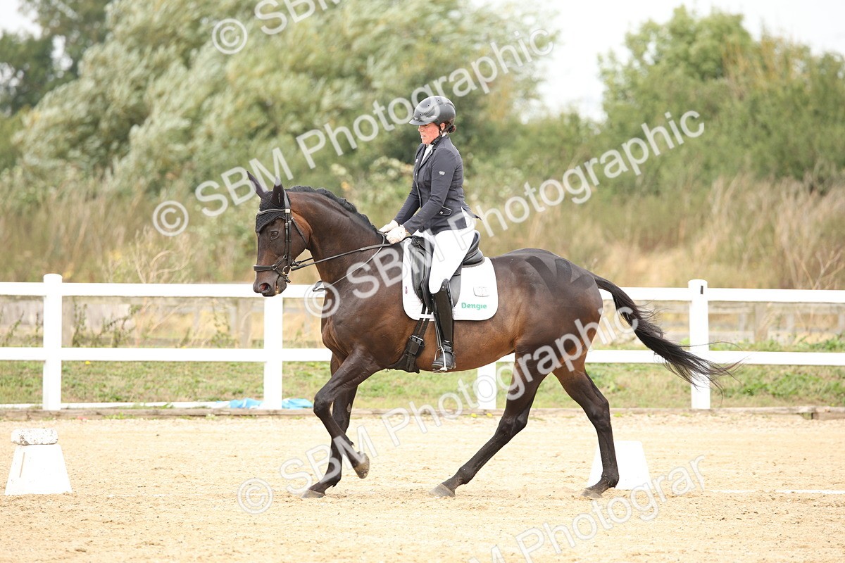 SBM_019621_Class 22 - Novice 73 - 1036-1116 - Cart - Louise