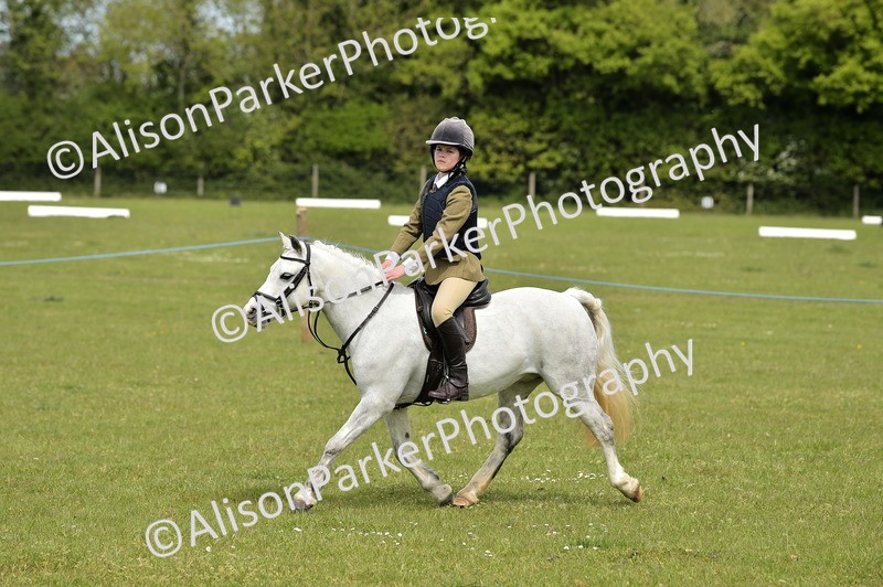 20260426-2447 - Class 21 - Working Hunter Ponies