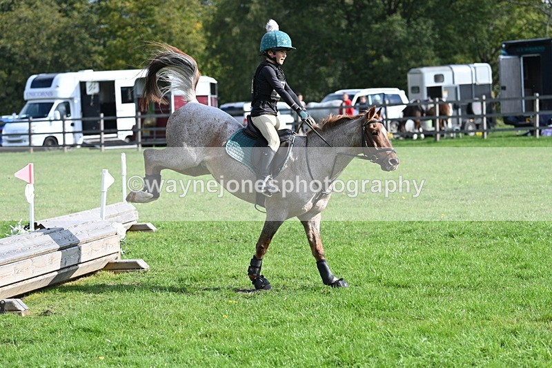 WJ7_4966 - 60cm Time 11:11 to 11:19