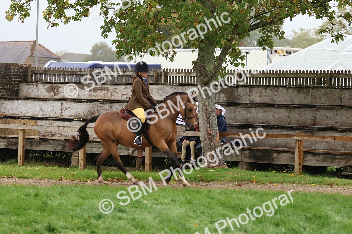 SBM_73009 - S63 Show Pony & Show Hunter Pony Ridden
