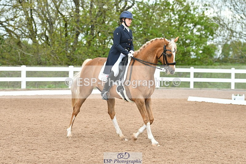 230511A-160408-01288 - BD Cls 18 FEI PSG