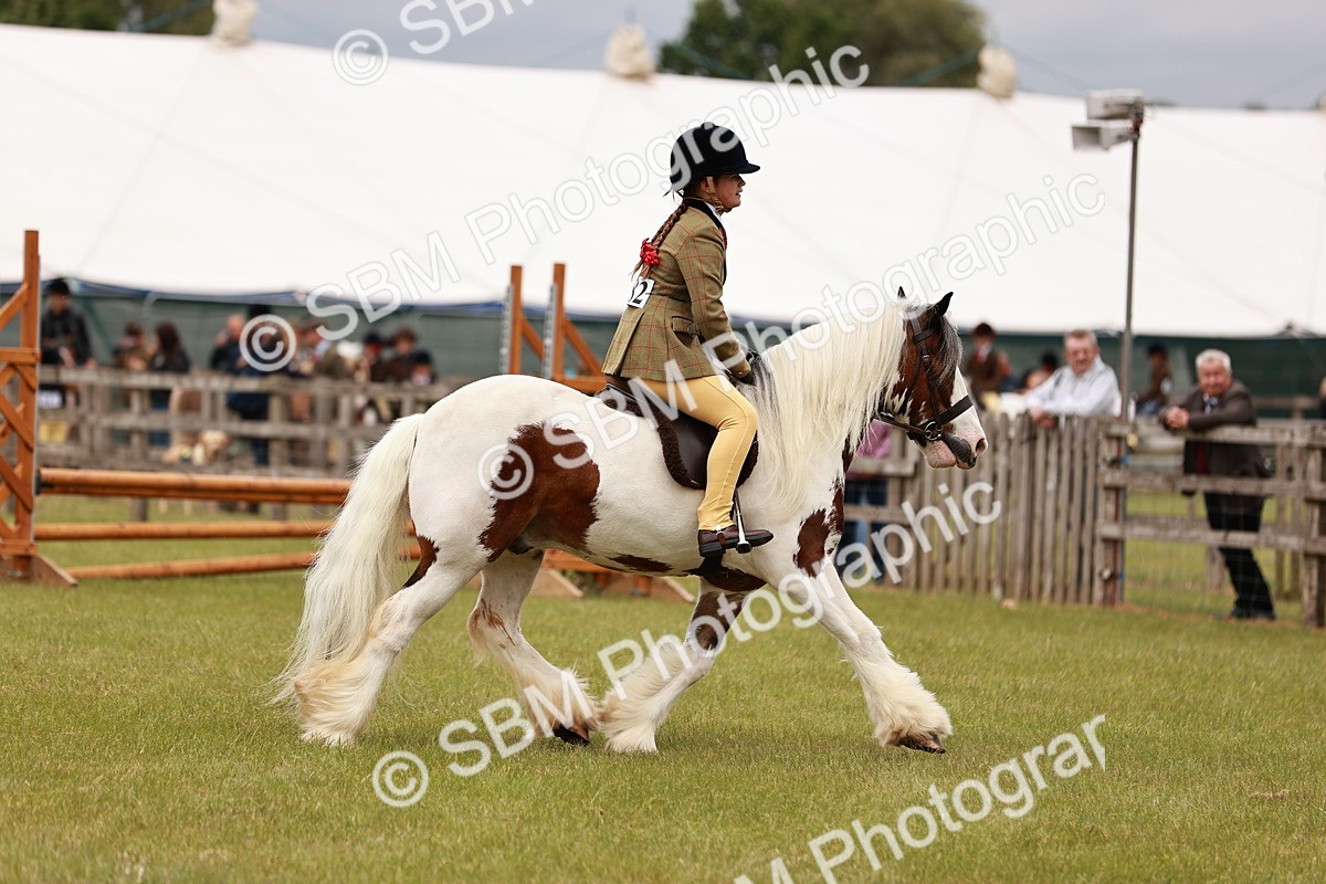 SBM_06201 - Class 39-41 TGCA In Hand and Ridden