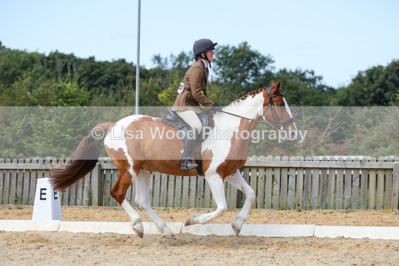 1X9A8329 - Class 12: Coloured Ridden