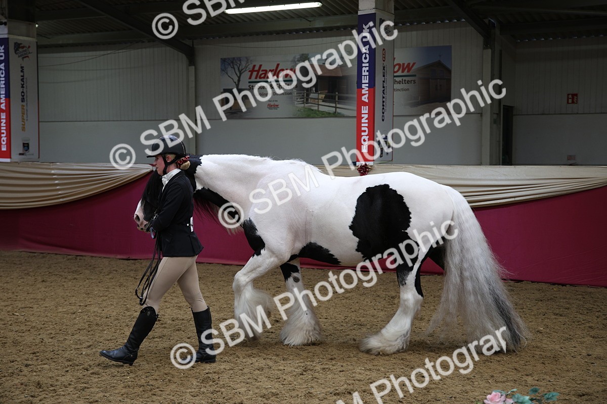 SBM_24716 - Class 906 - Supreme Final - Ridden Pre Vet
