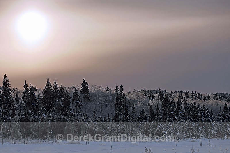 Frigid Morn - Winterscape