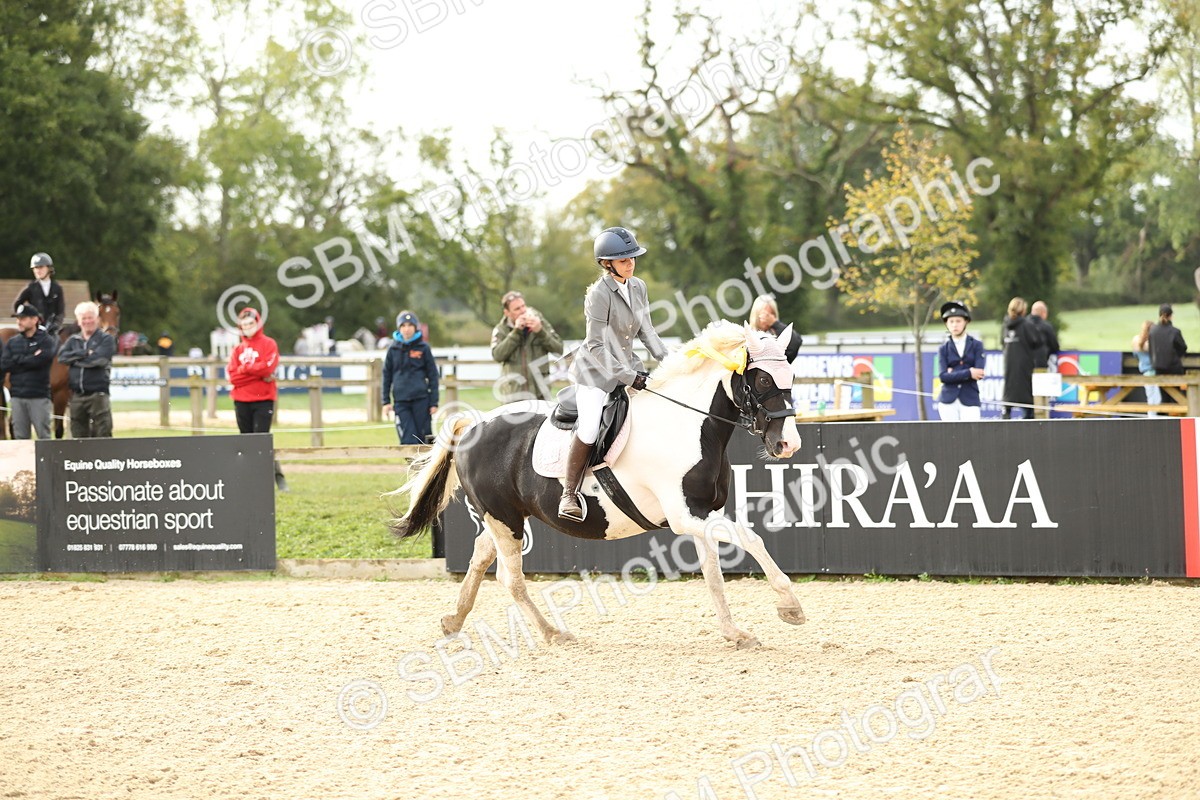 SBM_56228 - J24 - Junior Horse 75cm Championship