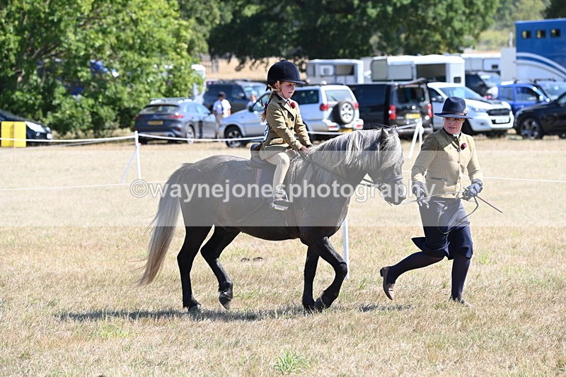 WJ6_7784 - Class 36 Lead Rein