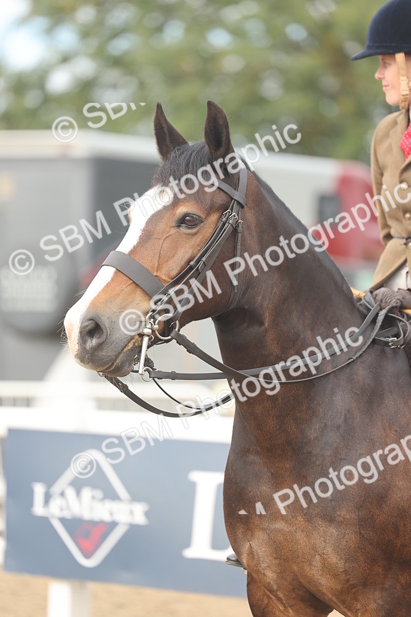 SBM_01934 - Class 14 - Ridden M&M Wildcard