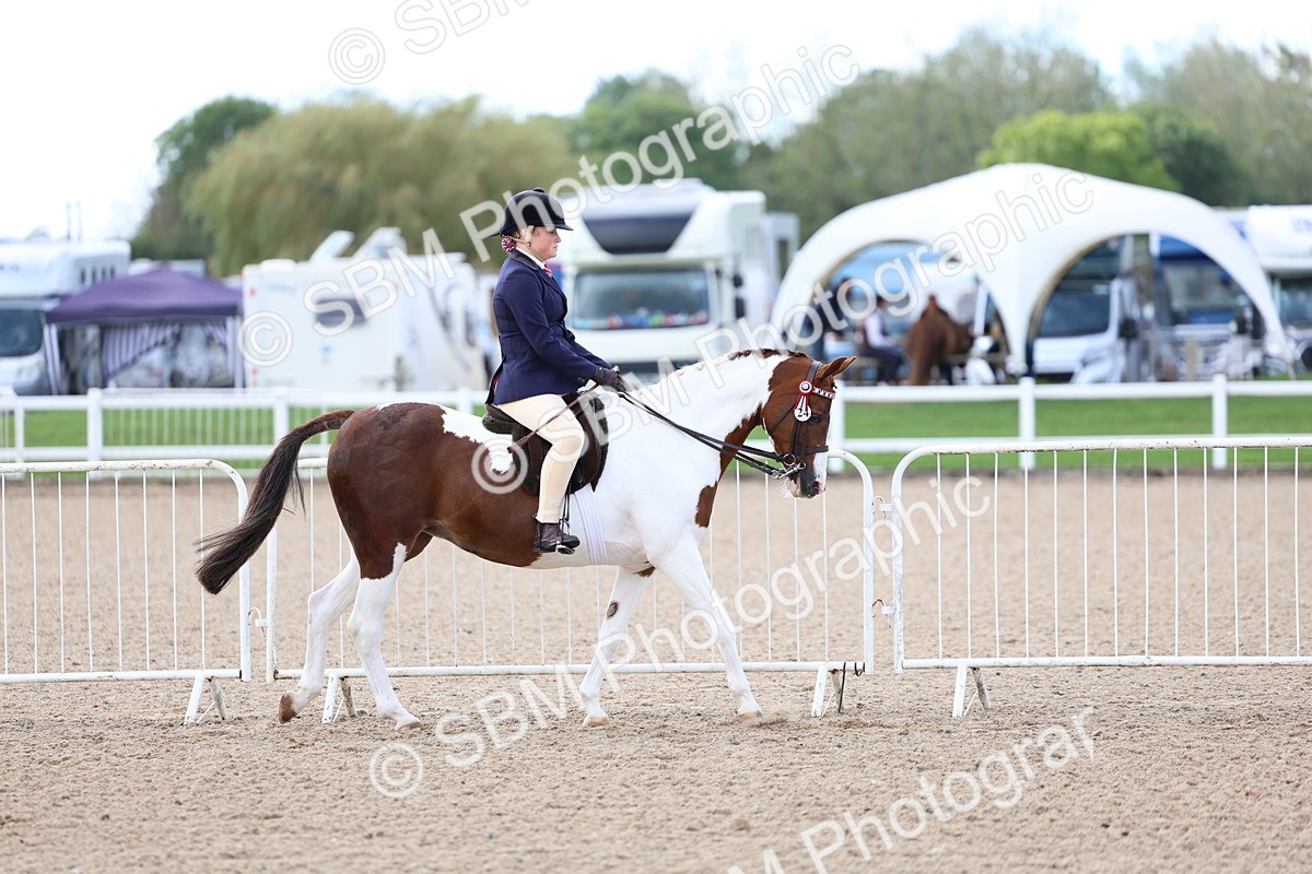 SBM_10033 - Class 304 - Ridden Part Bred Horse Pony