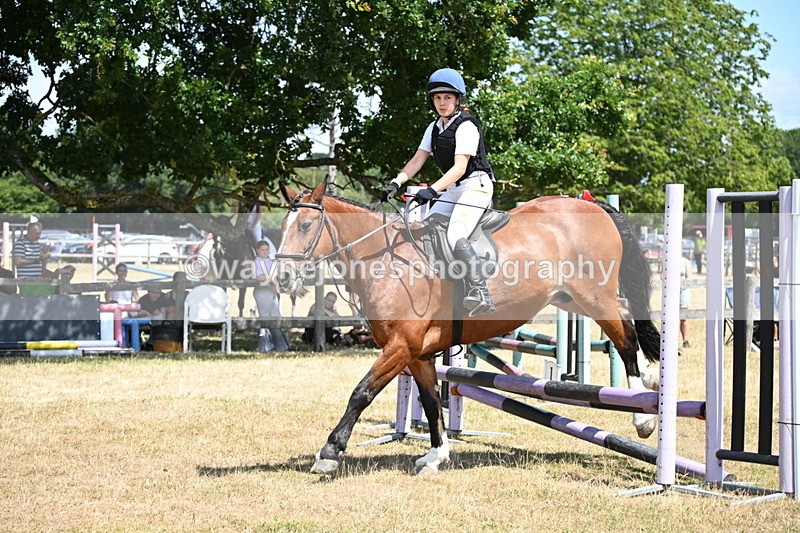 WJ6_5950 - Class 13 Novice 60cm