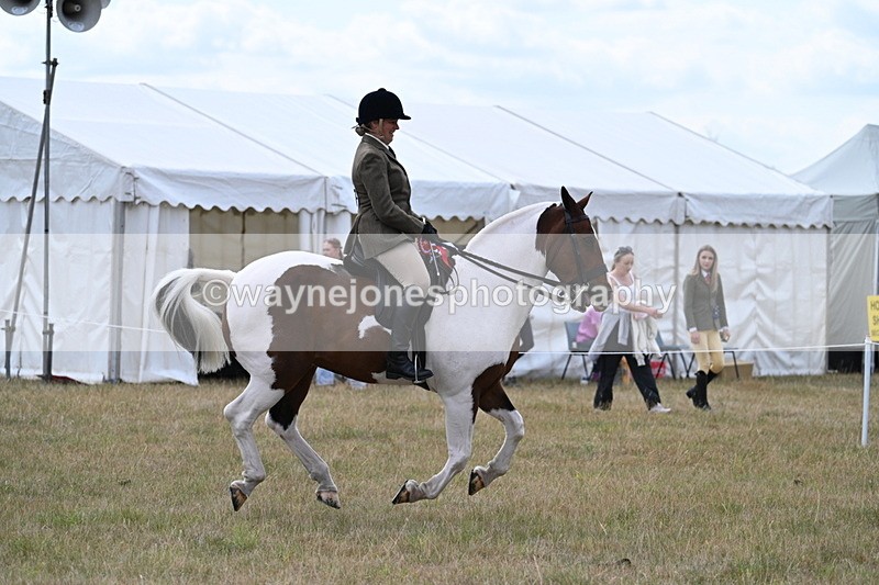 WJ7_5641 - Class 12 Ridden Cob
