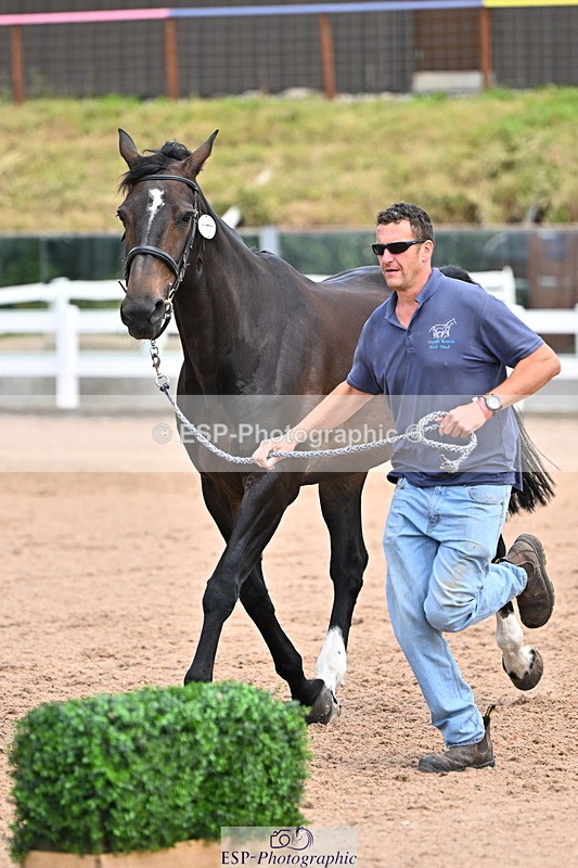 240718A-105321-01877 - Trot Up 1pm to 2pm