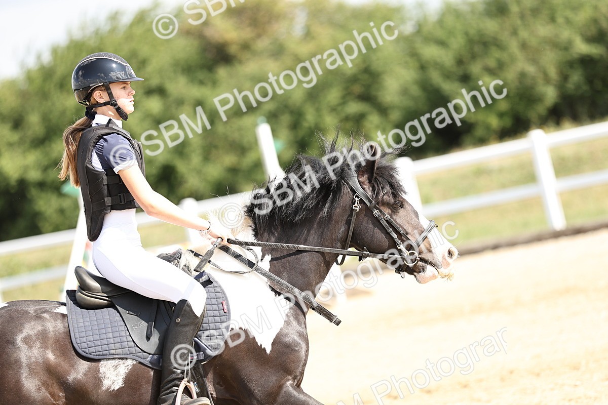 SBM_004020 - 60cm showjumping