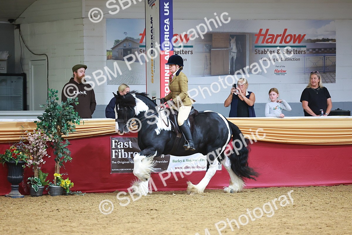 SBM_06282 - Class 12R - Ridden Pre-Vet